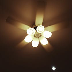 壁/天井/シーリングライト/LEDライト/リビング照明のインテリア実例 - 2015-12-08 02:04:11
