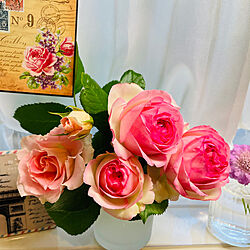 バラ/いいね！ありがとうございます♪/ちいさなお家/バラのある暮らし/お花のある暮らし...などのインテリア実例 - 2023-05-23 00:09:15