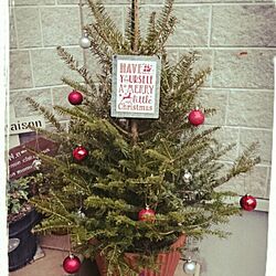 玄関/入り口/IKEA/クリスマスツリー/ミカヅキモモコ/ダイソーのインテリア実例 - 2015-12-16 23:58:09