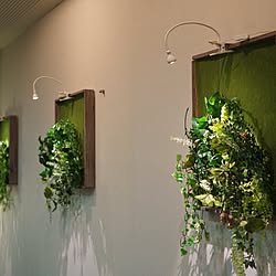 シェアハウス/DIY/照明/観葉植物/植物のある暮らし...などのインテリア実例 - 2015-06-03 23:46:09