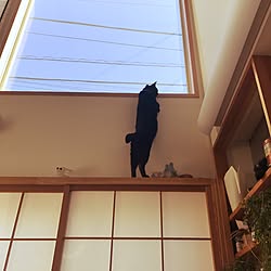 壁/天井のインテリア実例 - 2017-03-31 10:27:39