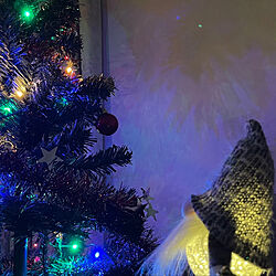 サンタさん♡/クリスマスツリー180cm/ニトリ/クリスマスツリー/クリスマス...などのインテリア実例 - 2021-12-12 18:14:16