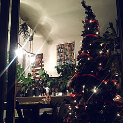 クリスマス/ライトアップ/クリスマスツリー180cm/リビングのインテリア実例 - 2022-12-25 21:58:08