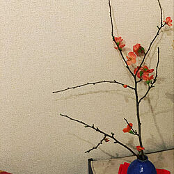 花/花瓶/季節を楽しむ暮らし/一人暮らし/木のぬくもりのインテリア実例 - 2021-02-01 08:33:50