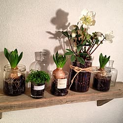 バス/トイレ/植物/ハンドメイド/DIY/手作り...などのインテリア実例 - 2015-01-28 17:45:16