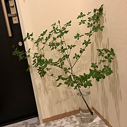 玄関/入り口/新築マンション/フラワーベース/花瓶/青山フラワーマーケット...などのインテリア実例 - 2018-08-15 18:44:29