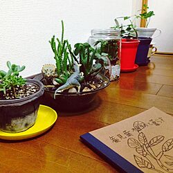 フィギュア/ミニチュア/植物/息子/NO GREEN NO LIFE...などのインテリア実例 - 2014-08-30 02:29:32