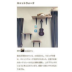 RoomClip mag 掲載/RoomClip mag/キャットウォーク/DIY/リビングの壁のインテリア実例 - 2022-12-02 13:04:39