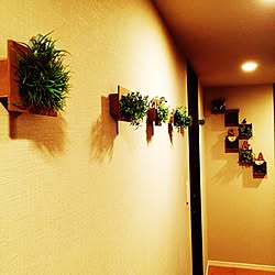 壁/天井/100均/3COINS/観葉植物/緑絵...などのインテリア実例 - 2016-06-18 22:31:45