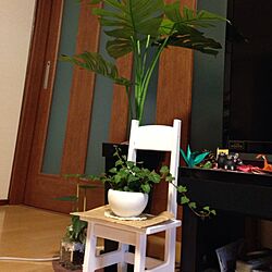 リビング/雑貨/観葉植物のインテリア実例 - 2014-03-12 17:14:13