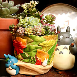 ジブリ 新品未使用 ☆トトロ☆プランター☆葉っぱ集め☆家庭菜園