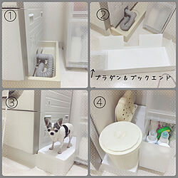 バス/トイレ/防水パンカバーDIY/防水パンカバー/防水パン/ペットと暮らす家...などのインテリア実例 - 2017-09-06 20:36:18