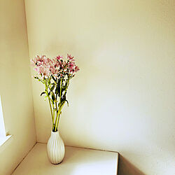 花のある暮らし/玄関/入り口のインテリア実例 - 2022-04-04 16:19:19