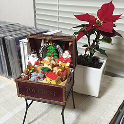 リビング/クリスマス/観葉植物/雑貨のインテリア実例 - 2015-12-08 22:52:51