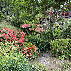 梅雨を楽しく/新緑/家族で暮らす/さつき/日本庭園...などのインテリア実例 - 2021-05-29 14:15:33
