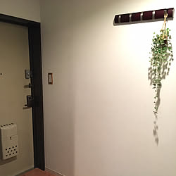 玄関/入り口/観葉植物のインテリア実例 - 2017-09-02 22:03:26