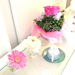 植物/お花のインテリア実例 - 2013-03-05 09:23:15