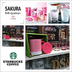 キッチン/ポスター変えねば！/泣いてもいいですか？/STARBUCKS SAKURA/彫刻風 女神♡...などのインテリア実例 - 2014-02-16 20:58:25