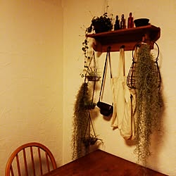 机/手作り/ハンドメイド/DIY/植物...などのインテリア実例 - 2015-02-12 21:57:51