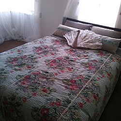 ベッド周り/オンフィル/白/TAMAR/寝室のインテリア実例 - 2013-10-18 17:05:43