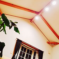 壁/天井/観葉植物のインテリア実例 - 2016-09-23 21:08:03