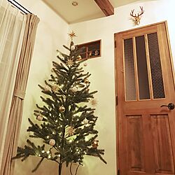 リビング/クリスマスツリーのインテリア実例 - 2016-12-21 00:07:16