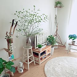 部屋全体/クッションフロア/無垢の家具/IKEA/植中毒...などのインテリア実例 - 2016-05-22 17:51:22