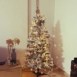 ニトリ/クリスマスツリー150cm/クリスマスツリー/ACTUS/リビング...などのインテリア実例 - 2020-11-20 17:03:18