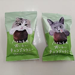 キッチン/猫大好き/猫グッズ/ねこのいる日常/ねこと暮らす...などのインテリア実例 - 2023-05-08 22:22:15