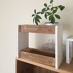 棚/観葉植物のある部屋/ミーツ/DIY/雑貨...などのインテリア実例 - 2015-11-10 15:39:51