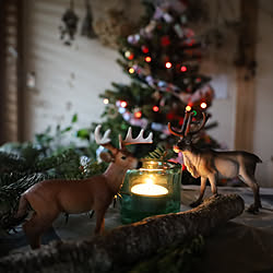 動物フィギュア/Schleich/シュライヒ/クリスマス/クリスマスインテリア...などのインテリア実例 - 2022-12-25 22:41:49