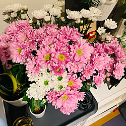 花のある暮らし/IKEA/ホワイト大好き/匂いフェチ/癒される...などのインテリア実例 - 2021-04-14 00:11:03