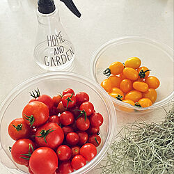 トマト収穫/家庭菜園記録/夏の記録/キッチンのインテリア実例 - 2021-08-04 14:11:05