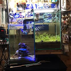 aquarium/趣味部屋のインテリア実例 - 2016-11-12 00:31:32