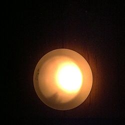 壁/天井/照明のインテリア実例 - 2012-12-07 12:04:34