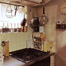 キッチン/IKEA/多肉植物/ニトリ/DIY...などのインテリア実例 - 2014-03-05 15:49:09