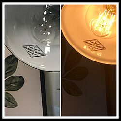 リビング/ジャーナルスタンダード/エジソン電球/照明/観葉植物...などのインテリア実例 - 2017-04-27 22:37:35