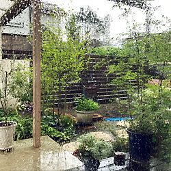 梅雨の庭/ナチュラル/雑貨/ギャザリング風寄せ植え/夏の庭...などのインテリア実例 - 2021-06-25 14:58:05