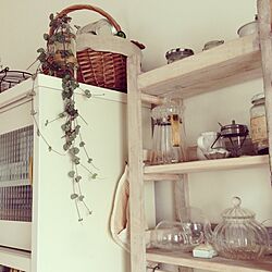 キッチン/植物/カゴ/食器/食器棚のインテリア実例 - 2013-05-22 14:58:20