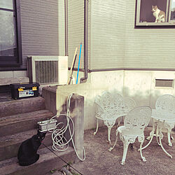 外に出る猫出ない猫/白キジのん/黒猫ミースケ/玄関/入り口/ねこのいる風景のインテリア実例 - 2021-03-17 08:37:55