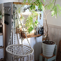 棚/これさえあれば、わたしの部屋/DIY/観葉植物のある暮らし/エバーフレッシュのインテリア実例 - 2018-07-17 04:57:15