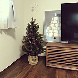 鉢カバー クリスマスツリー リビング ニトリのインテリア実例 17 12 15 13 29 39 Roomclip ルームクリップ