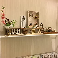 バス/トイレ/ダイソー/DIY/観葉植物のインテリア実例 - 2016-02-09 15:33:37