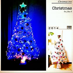 部屋全体/クリスマス/クリスマスツリーのインテリア実例 - 2014-12-06 07:48:43