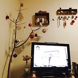 リビング/クリスマスツリーのインテリア実例 - 2013-12-25 20:25:31