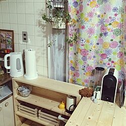キッチン/ダイソーの箱/手作り/観葉植物/IKEAのインテリア実例 - 2014-04-02 00:35:58