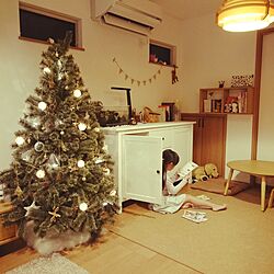 リビング/IKEA/クリスマスツリー180cm/ヤコブソンランプ/カイボイスン モンキーのインテリア実例 - 2016-11-07 20:18:10