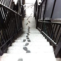 玄関/入り口/外階段のインテリア実例 - 2013-12-11 12:11:59