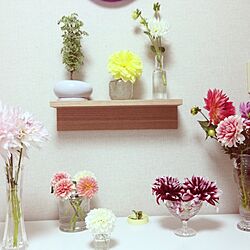 机/花/植物/ダリア/花瓶...などのインテリア実例 - 2013-10-18 03:24:39