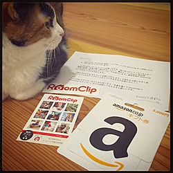 机/Amazonギフト券/コンテスト受賞/Room Clip ステッカー/猫のいる風景...などのインテリア実例 - 2015-09-21 19:13:39